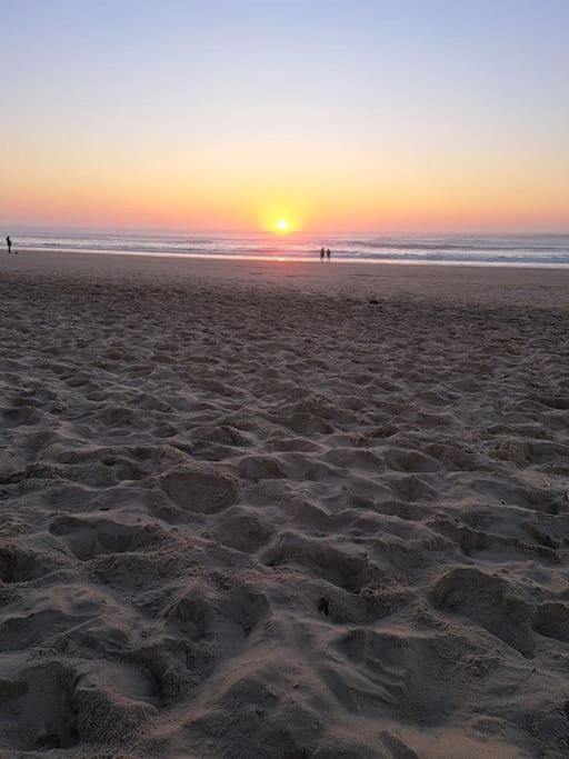 Maisonnette 2 A Deux Pas Des Plages * Biscarrosse